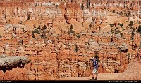Photo by Albumeditions |  Bryce Canyon BryceCanyoNP, Utah, Nature